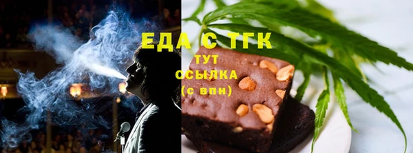 индика Алзамай