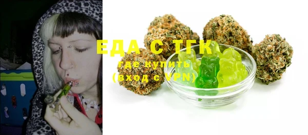 индика Алзамай