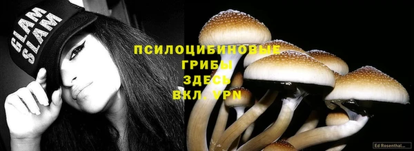 индика Алзамай