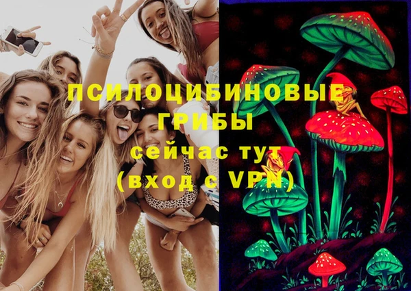 индика Алзамай